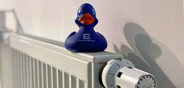 Förderung und gesetzliche Rahmenbedingungen für Heizungen in Deutschland